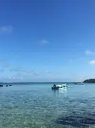 开云体育-鹿岛鹿角迎战阿尔艾因，防守反击或成致胜关键(鹿岛鹿角赛程赛果)