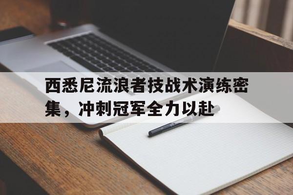 开云体育-西悉尼流浪者技战术演练密集，冲刺冠军全力以赴(西悉尼流浪者足球俱乐部百科)