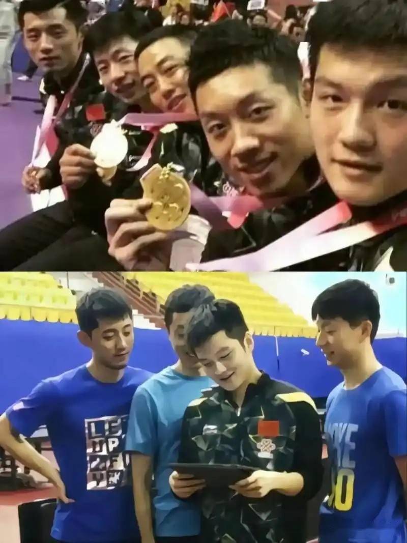 关于王励勤认可!体育局悬挂张继科照片或参与国乒教练竞聘的信息